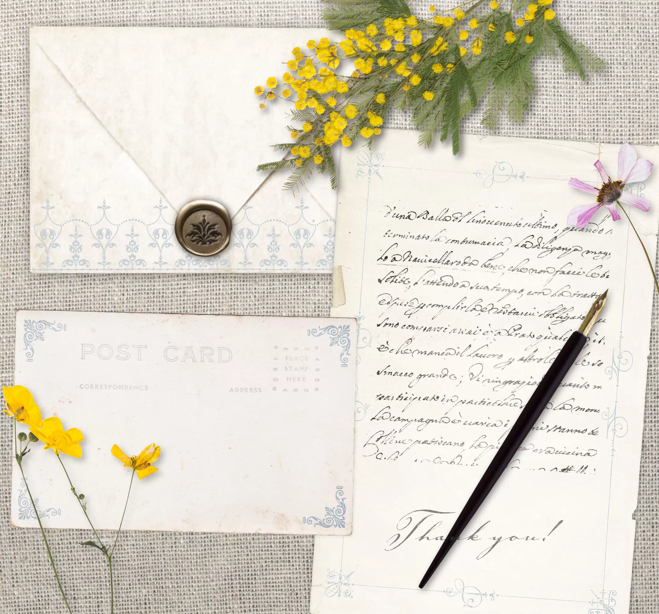 【ベクター】ボーダーバンドル　BorderBundle【png】 - 画像 (6)