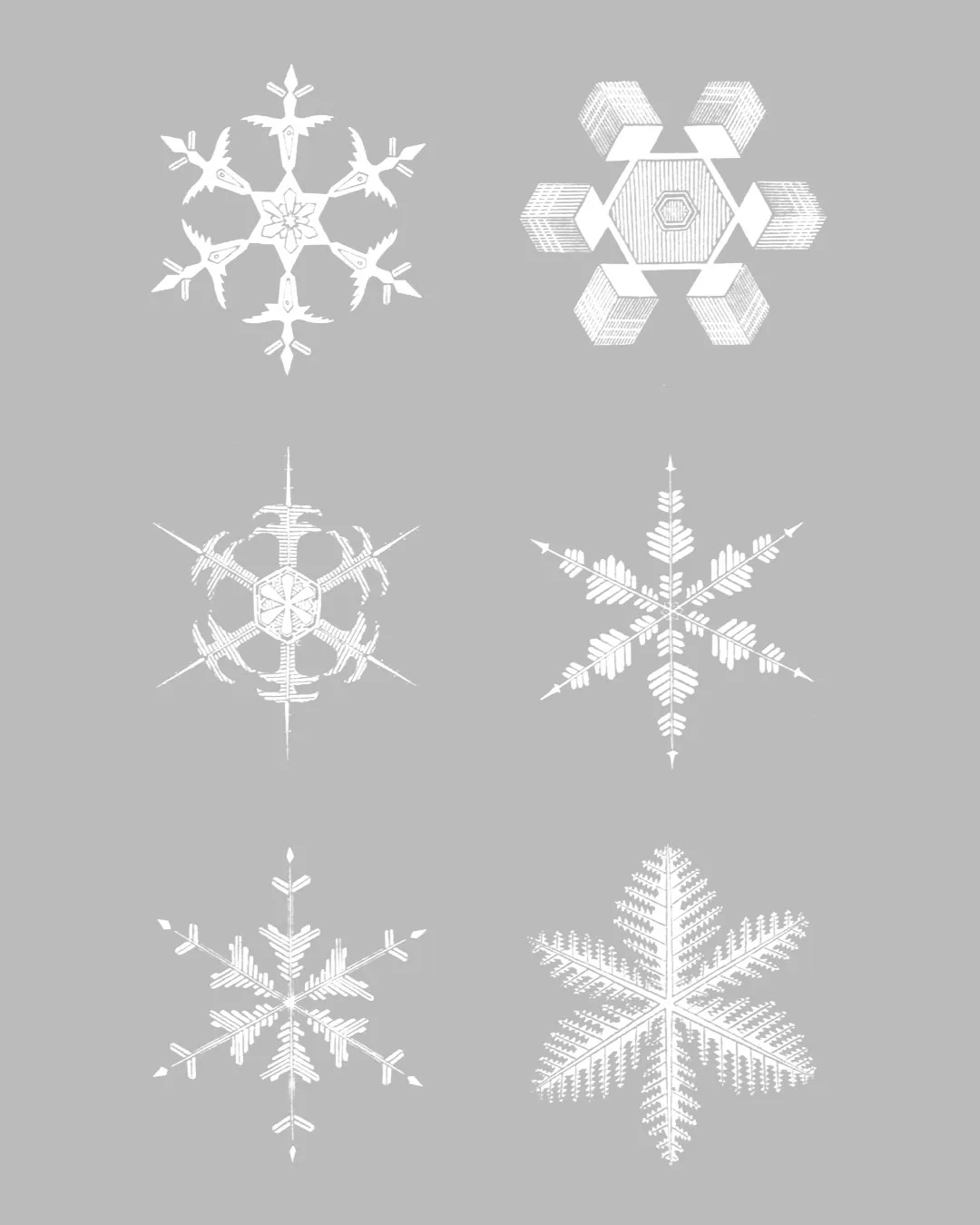 【Photoshopブラシ】SnowFlake 雪の結晶 49枚【png,abr】 - 画像 (4)