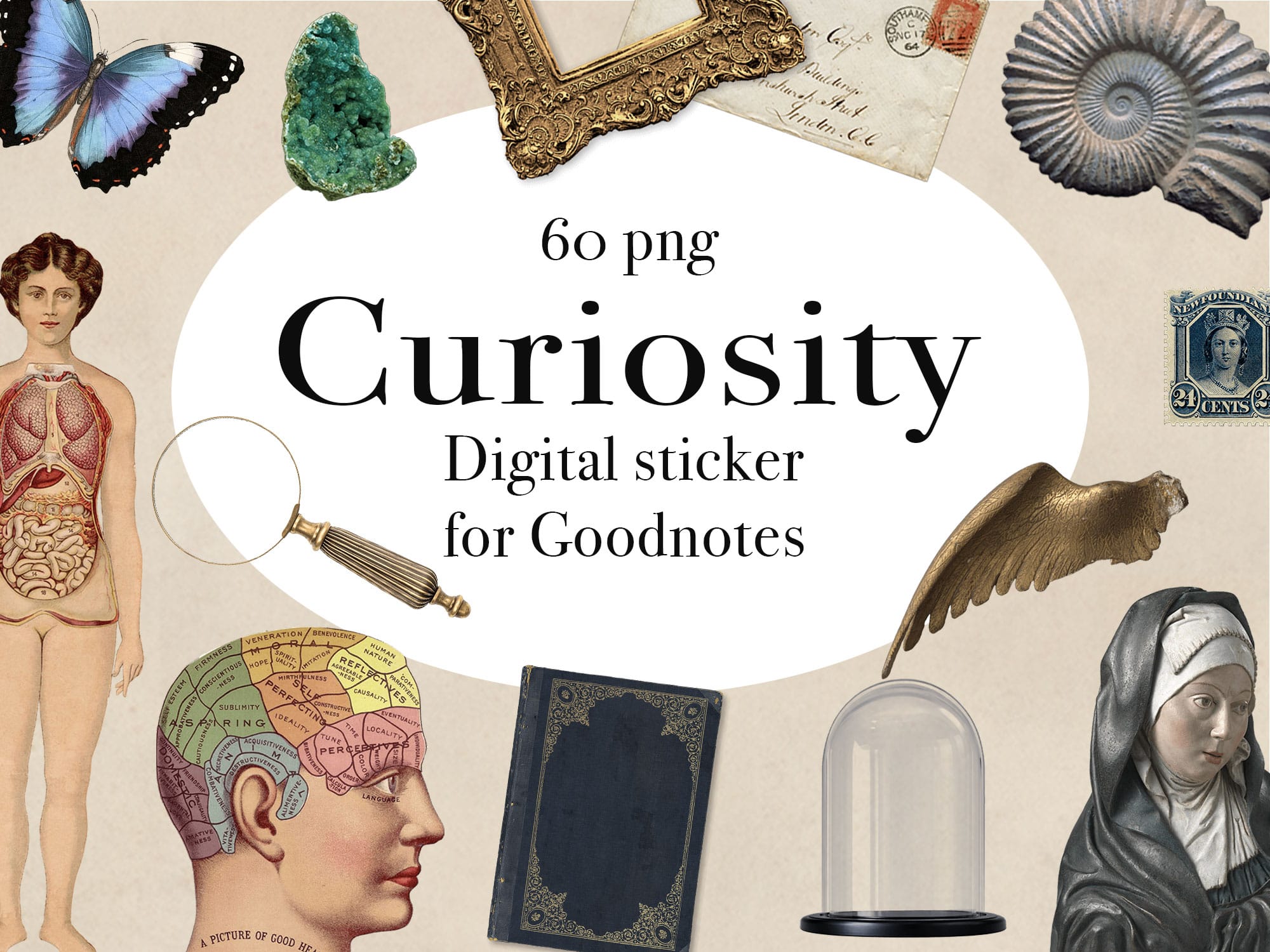 Curiosityデジタルステッカー Digital sticker 60png【For Goodnotes】